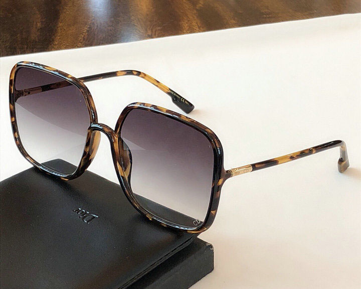 Dior Sunglasses 1528